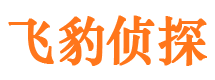 武隆侦探公司